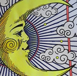 Meet your Posher, Robin